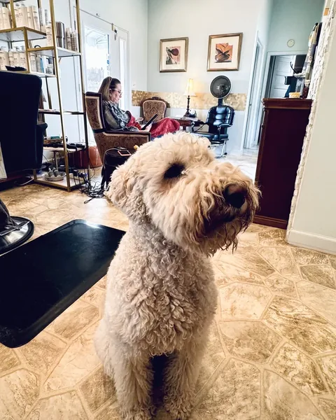 One of the studio's rescue dogs greeting clients inside the Charleston salon